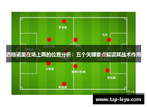 西格诺里在场上踢的位置分析:五个关键要点解读其战术作用 西格诺里在场上踢的位置分析:五个关键要点解读其战术作用