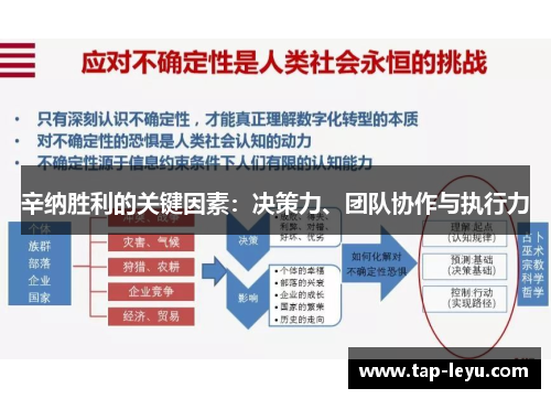 辛纳胜利的关键因素：决策力、团队协作与执行力