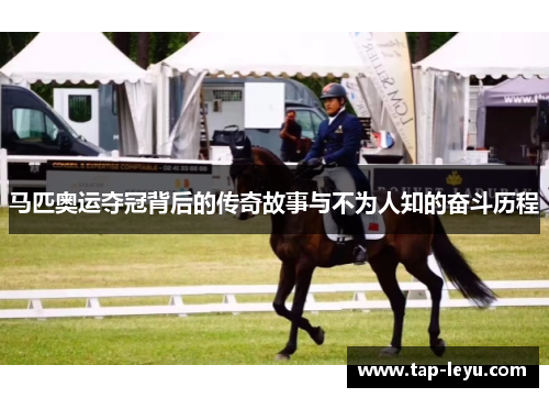 马匹奥运夺冠背后的传奇故事与不为人知的奋斗历程