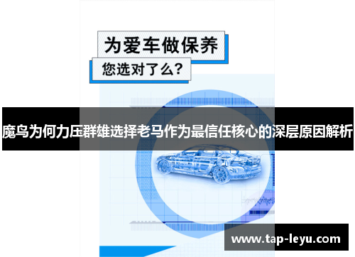 魔鸟为何力压群雄选择老马作为最信任核心的深层原因解析