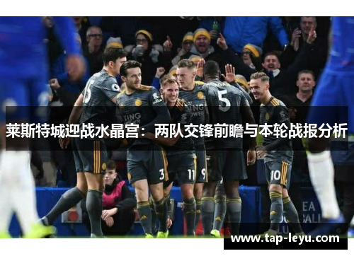 莱斯特城迎战水晶宫：两队交锋前瞻与本轮战报分析