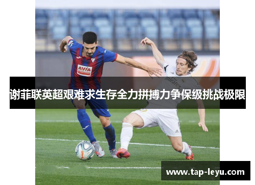 谢菲联英超艰难求生存全力拼搏力争保级挑战极限