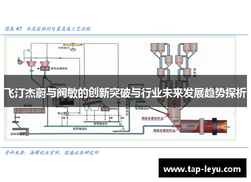 飞汀杰蔚与阀敏的创新突破与行业未来发展趋势探析 飞汀杰蔚与阀敏的创新突破与行业未来发展趋势探析